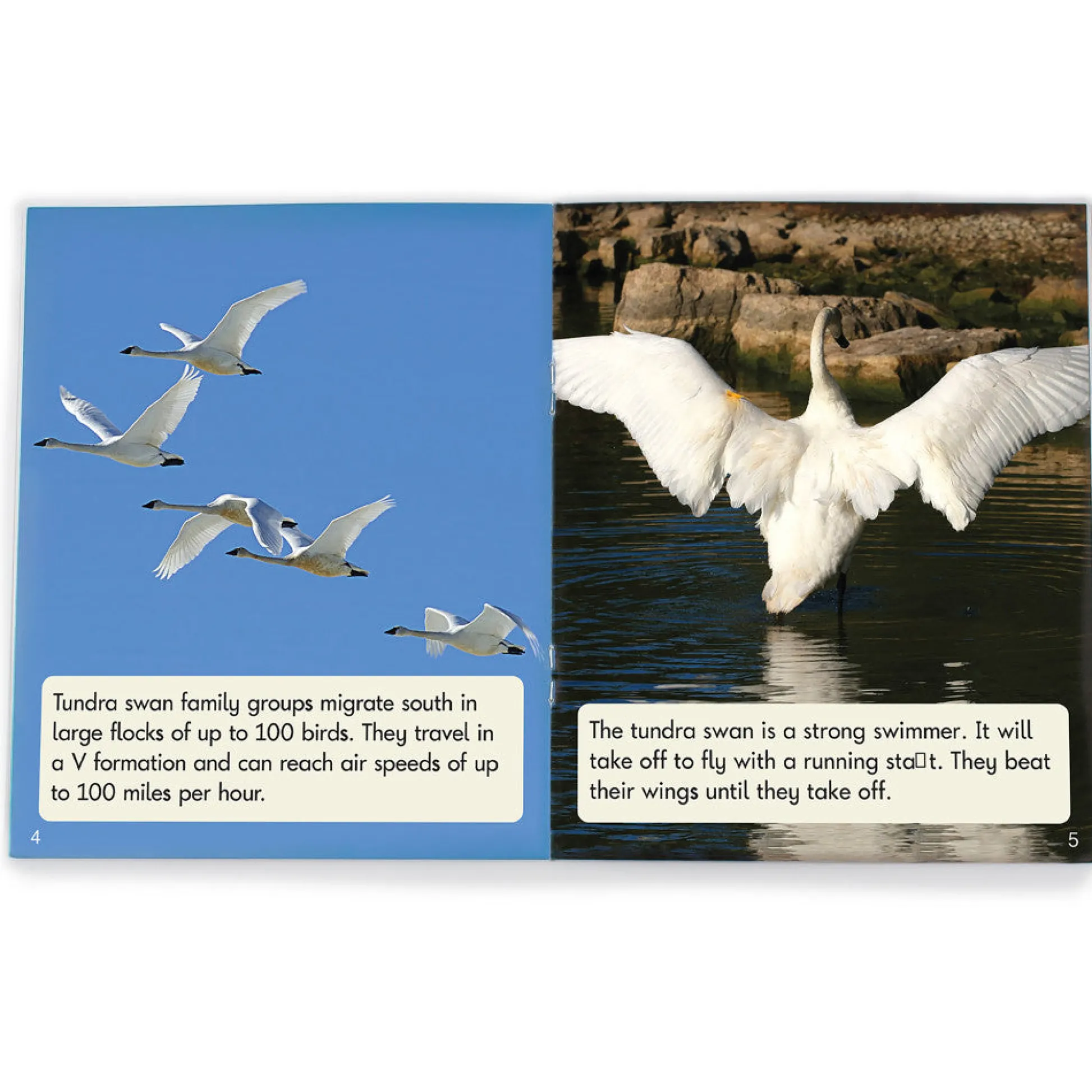 Flat River Group Junior Learning 12-Piece Non-Fiction Readers Set - Suffixes & Prefixes, Phase 6* Reading, Writing & Speech