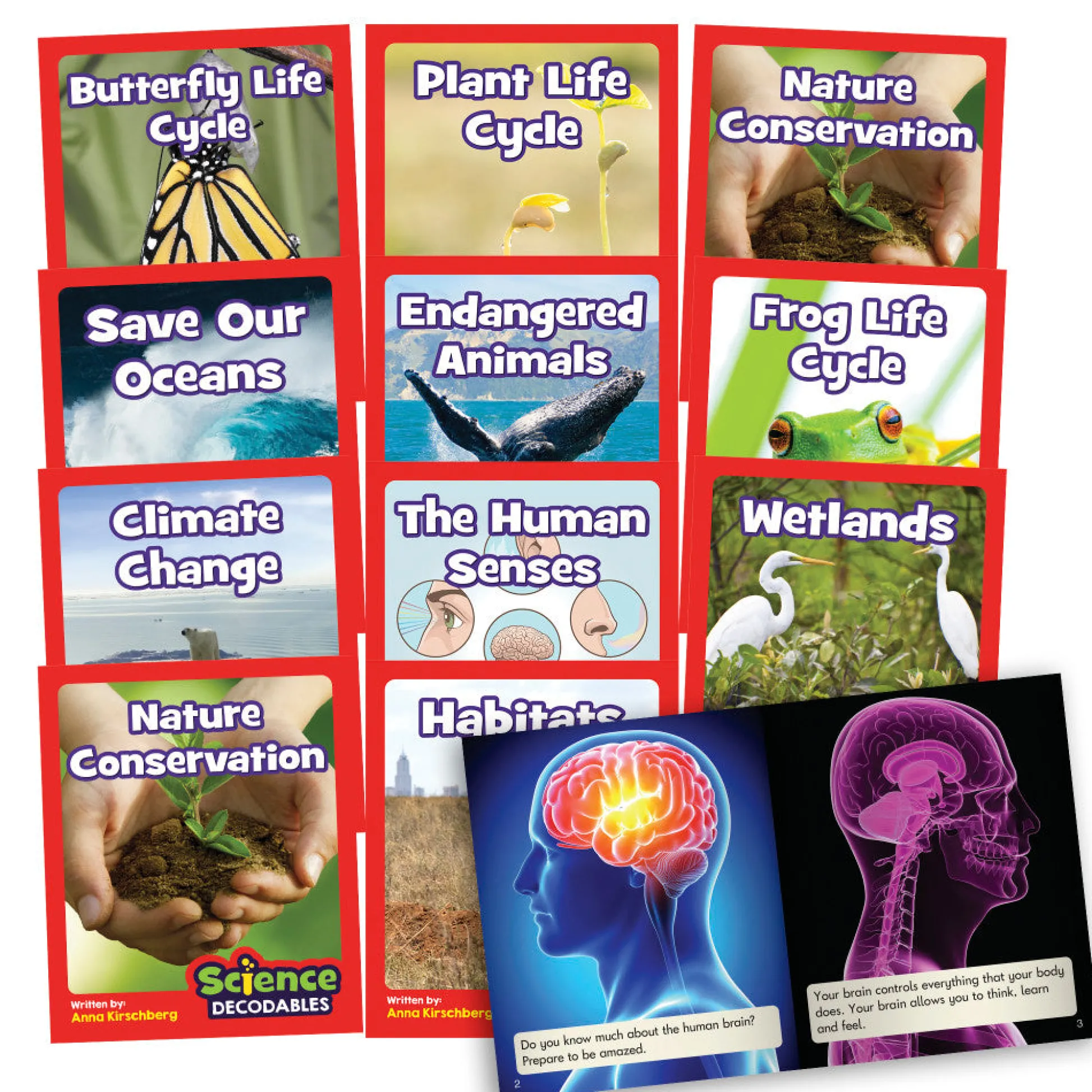 Flat River Group Junior Learning Science Decodables - Phase 6 Non-Fiction Readers - Grade 2* Reading, Writing & Speech