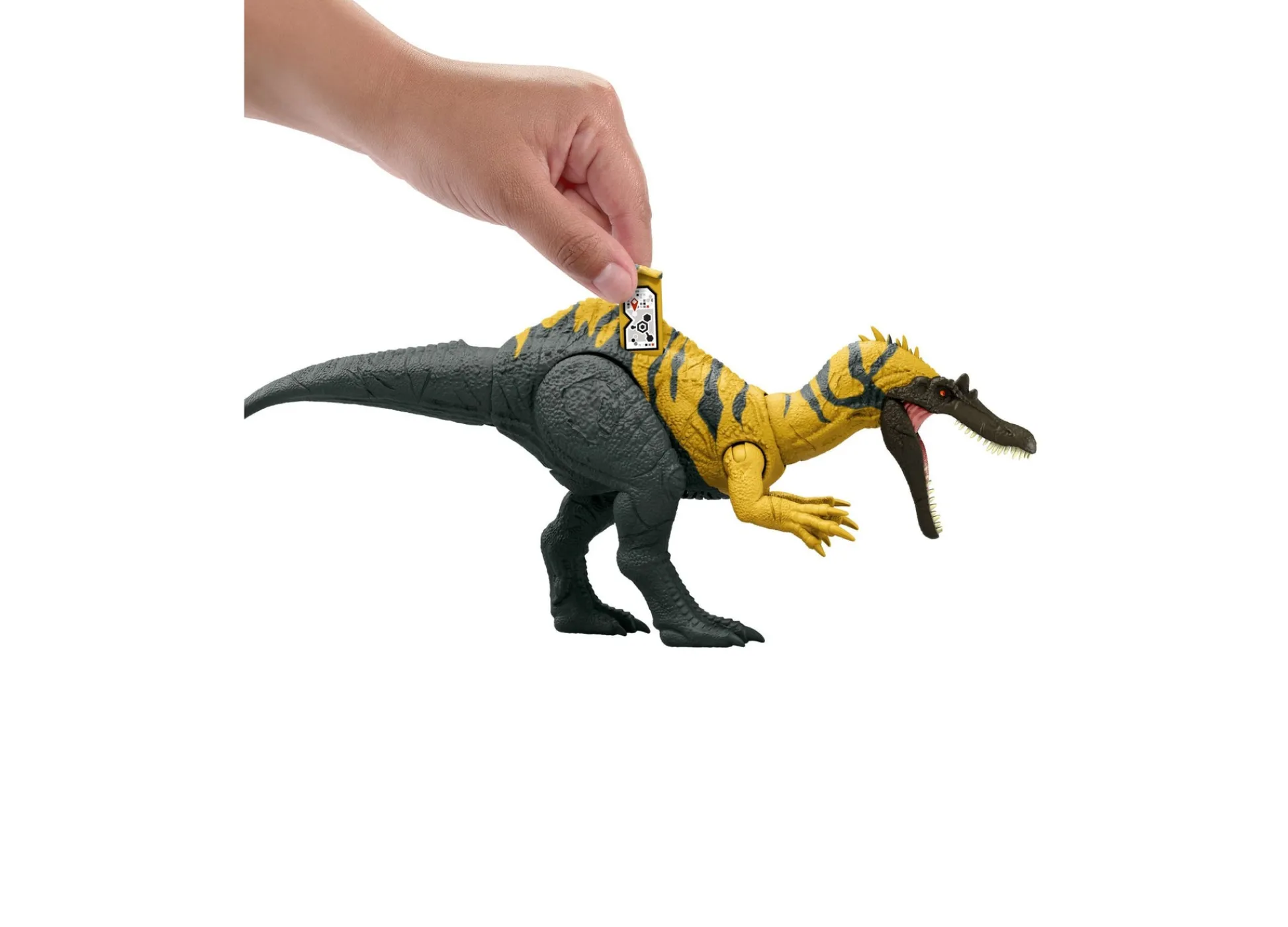 Macy's - Supplier Jurassic World Chaos Theory 2024 Ceratosuchops Roaring Action Figure* Action Figures