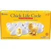Educators Resource Learning Resources Chick Life Cycle Exploration Set - Educational Science Toy* Science & Discovery