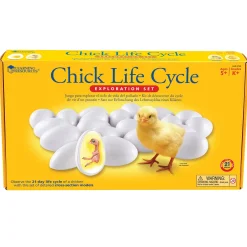 Educators Resource Learning Resources Chick Life Cycle Exploration Set - Educational Science Toy* Science & Discovery