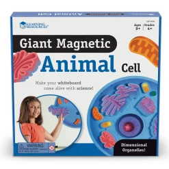 Educators Resource Learning Resources Giant Magnetic Animal Cell Model - Educational Toy* Science & Discovery