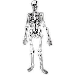 Educators Resource Learning Resources Skeleton Foam Floor Puzzle - Human Anatomy Educational Toy* Puzzles