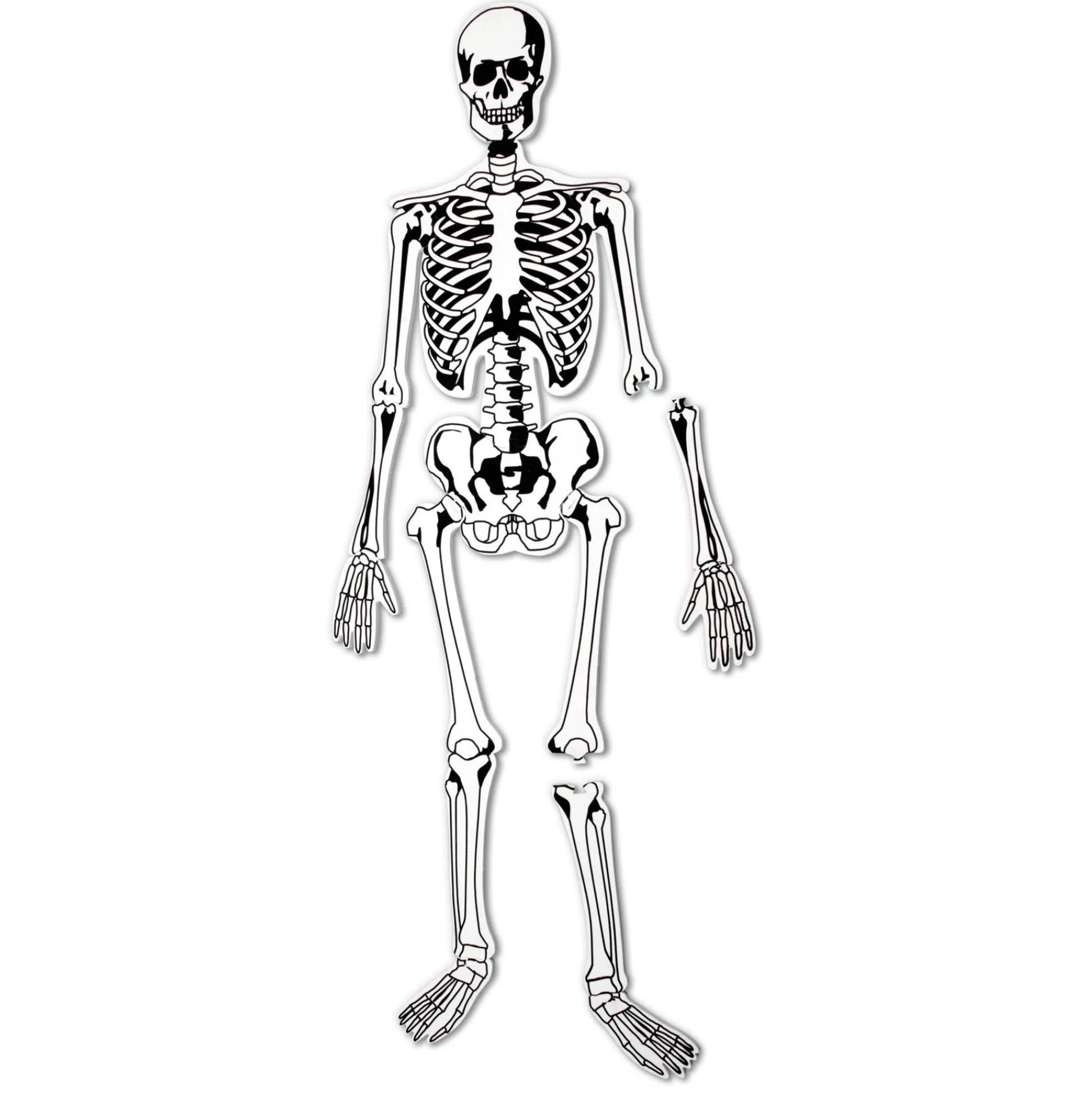 Educators Resource Learning Resources Skeleton Foam Floor Puzzle - Human Anatomy Educational Toy* Puzzles