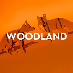 Flat River Group Little & Wood: Woodlet: Small Curious Fox - 3D Wooden Puzzle Kit* Puzzles