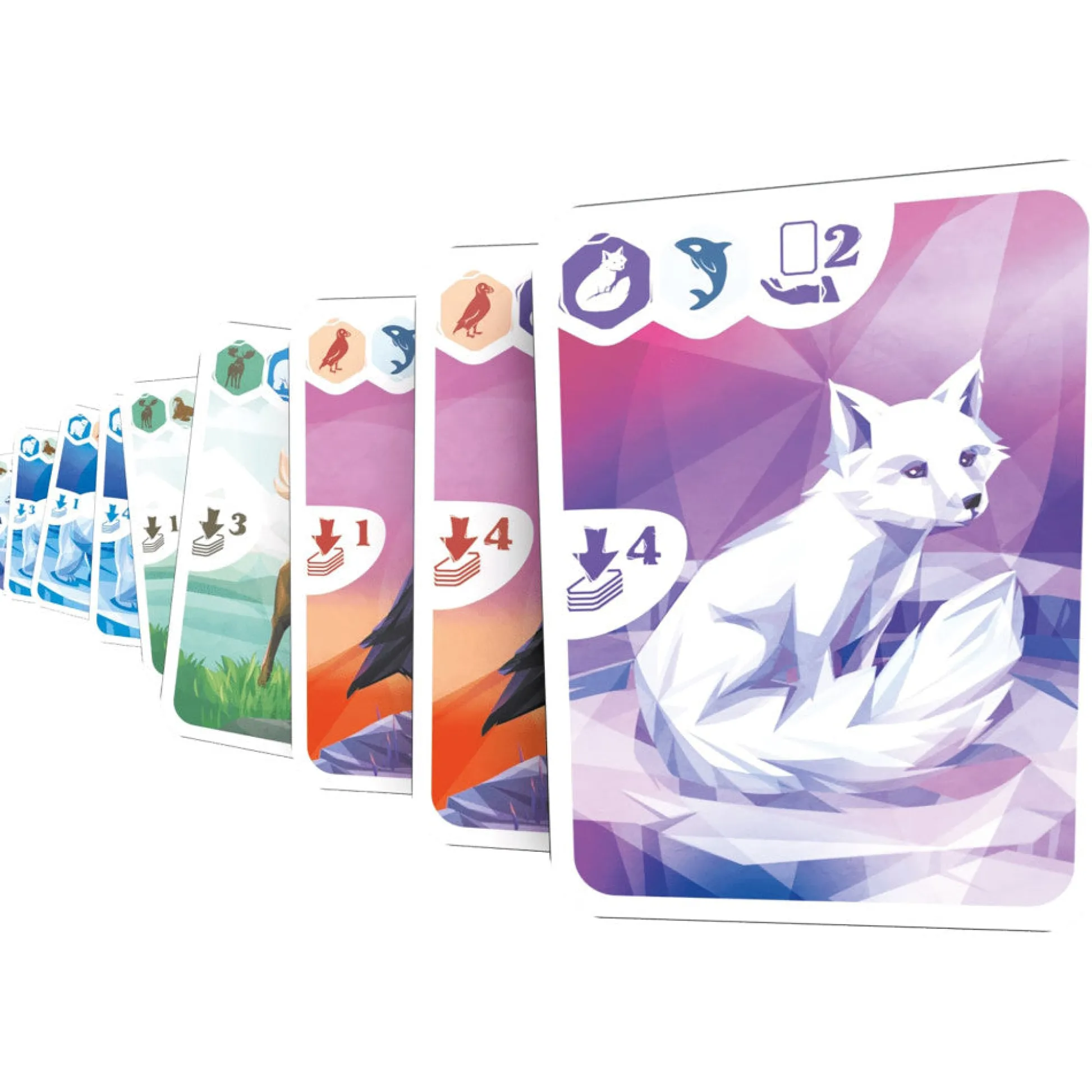 Flat River Group Ludonaute: Arctic - Strategic Arctic Wildlife Card Game* Card Games