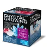 Flat River Group 4M Crystal Growing Experiment Science Kit - Educational Toy* Science & Discovery