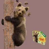 Maddcapp Games Madd Capp I AM LiL' BEAR Jigsaw Puzzle - 100 pc* Puzzles
