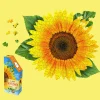Maddcapp Games Madd Capp I AM SUNFLOWER Jigsaw Puzzle - 350 pc* Puzzles