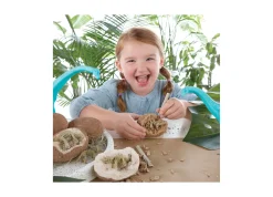 AreYouGame MindWare Dig It Up! Dinosaur Skeletons Excavation Kit* Clay, Dough & Sand Art