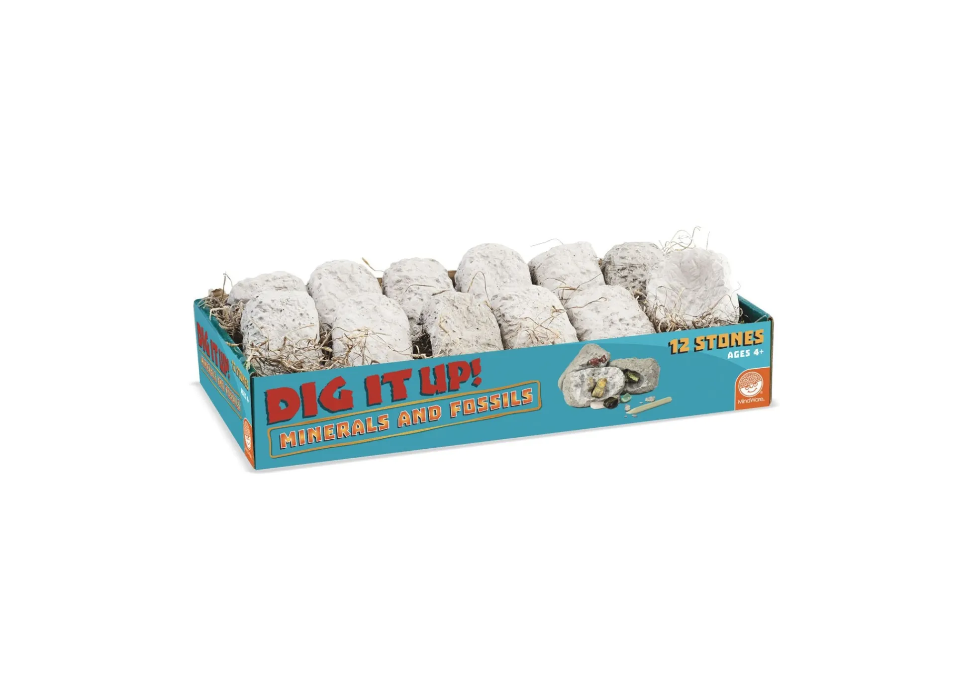 AreYouGame MindWare Dig It Up! Minerals and Fossils Excavation Kit* Science & Discovery