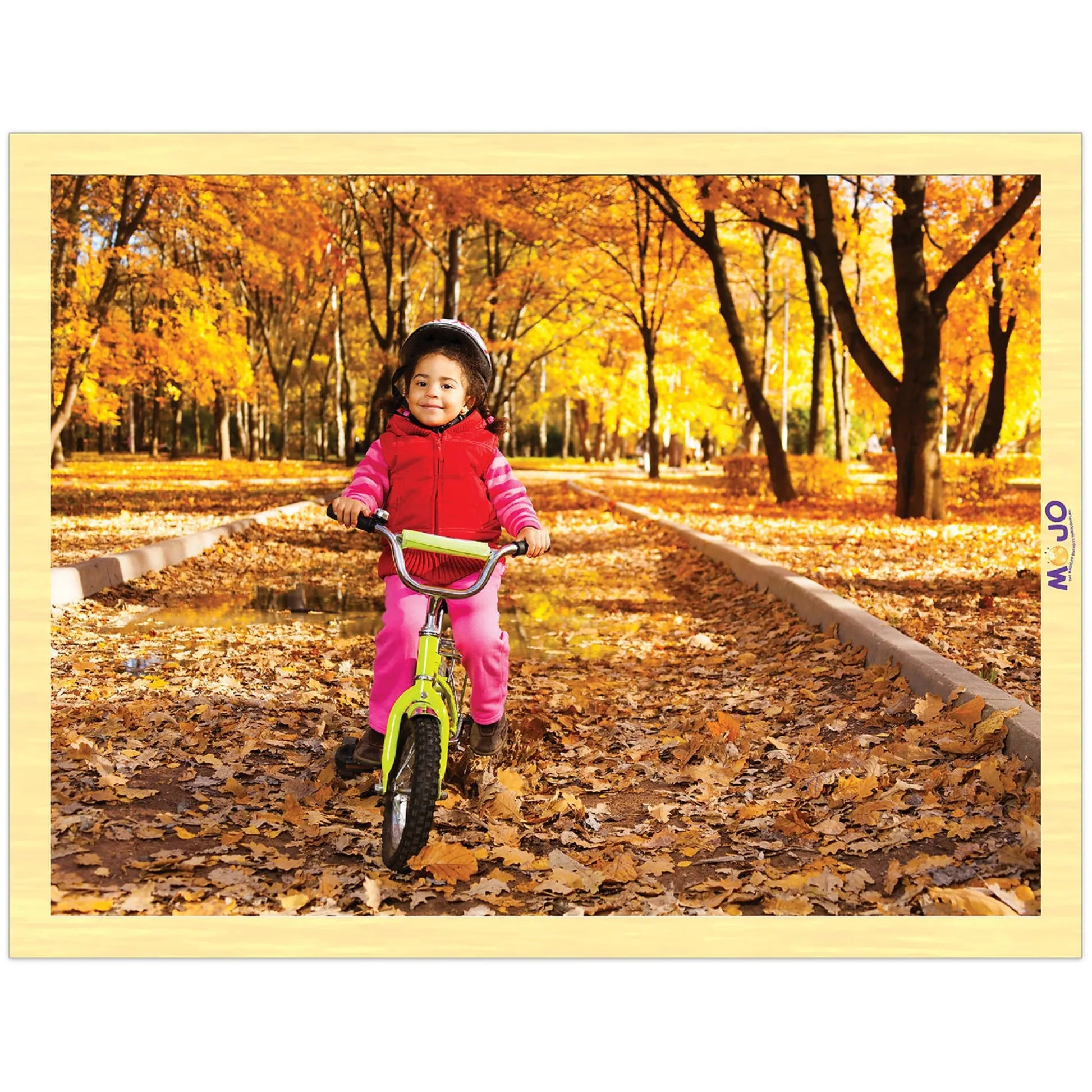 Educators Resource MOJO Change of Seasons 8-Pack Wooden Puzzles - Educational Set* Puzzles