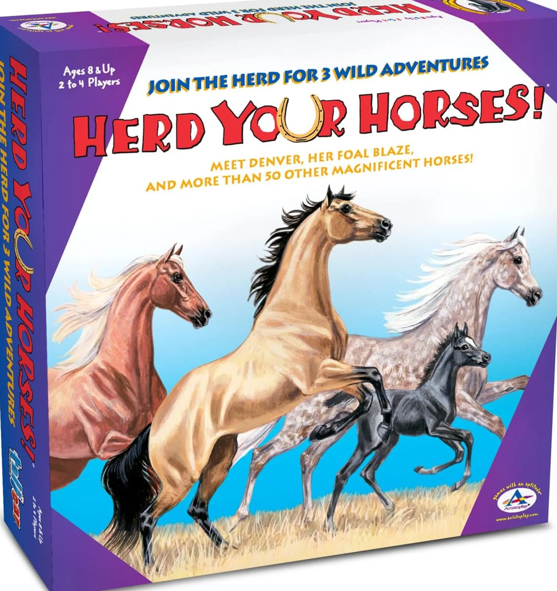 The Distribution Solutions MoneyWise Kids - Educational Math Games for Learning Money Management* Board Games|Role-Playing Games
