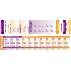 Flat River Group Poster Pals French Verb Conjugation Reference Bookmarks - 64 Pack*Kids Kids Books