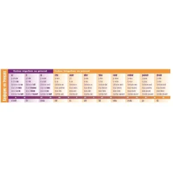 Flat River Group Poster Pals French Verb Conjugation Reference Bookmarks - 64 Pack*Kids Kids Books