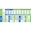 Flat River Group Poster Pals Spanish Verb Conjugation & Vocabulary Bookmarks, 32-Pack*Kids Kids Books