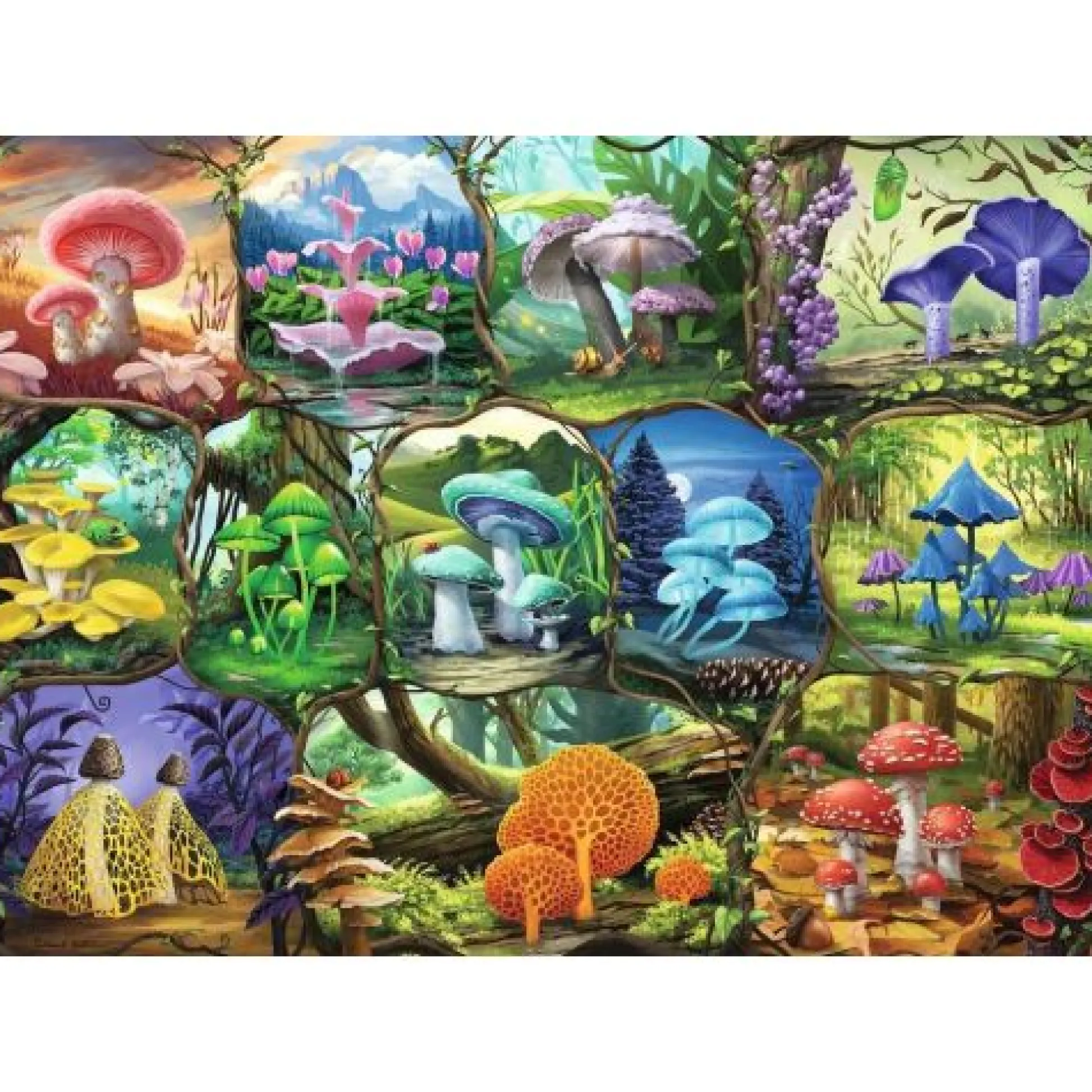 Calendar Holdings, LLC Ravensburger Beautiful Mushrooms Jigsaw Puzzle - 1000pc* Puzzles