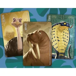 Flat River Group Similo: Wild Animals Cooperative Deduction Card Game* Card Games