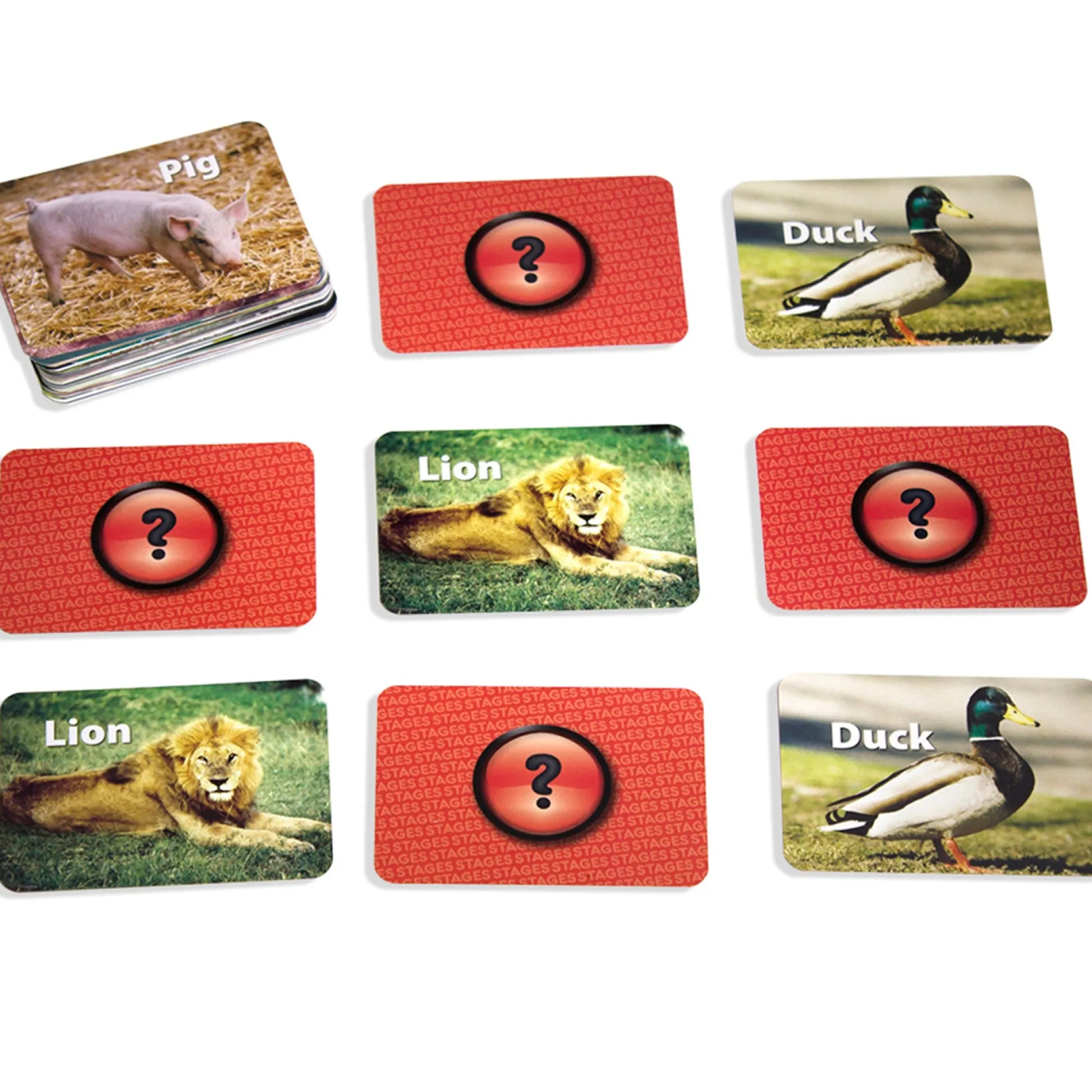 Educators Resource Stages Learning Materials - Animal Photographic Memory Matching Game - Pack of 3* Card Games