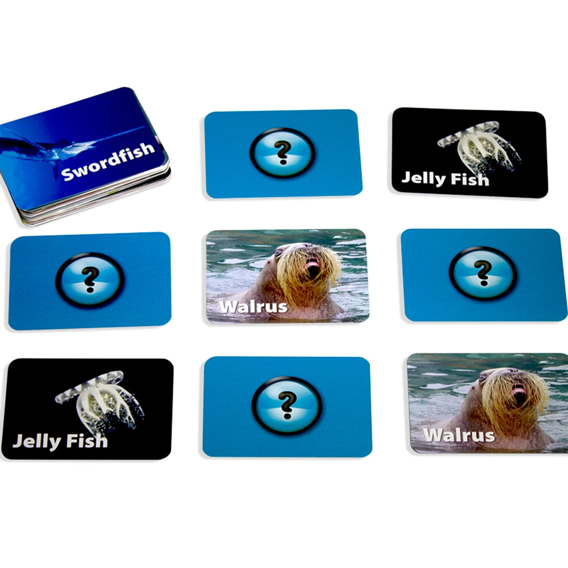 Educators Resource Stages Learning Sea Life Memory Matching Game - Photographic Card Set, Pack of 3* Card Games