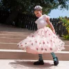 A Leading Role Strawberry Shortcake Premium Child Strawberry Sequin Skirt - Size 5/6* Dress Up & Accessories|Dress Up