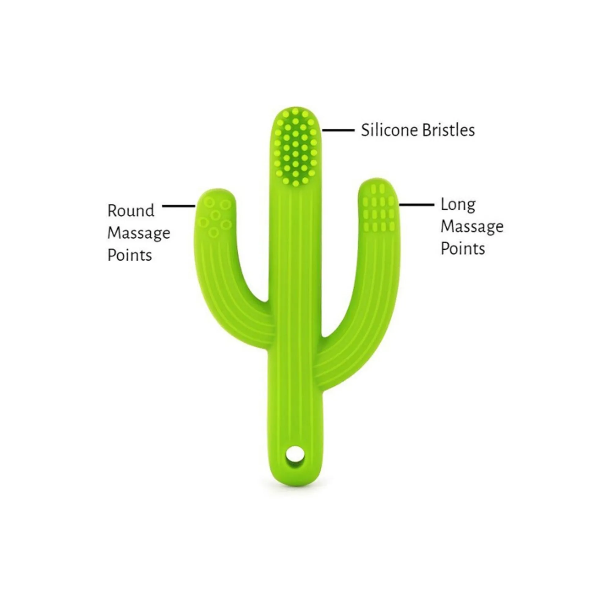 Educators Resource The Pencil Grip Cactus Toothbrush Teether Trio* Rattlers & Teethers