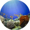 Educators Resource TickiT Under the Sea Discovery Play Mat - Ocean Exploration* Preschool Education Toys & Activities