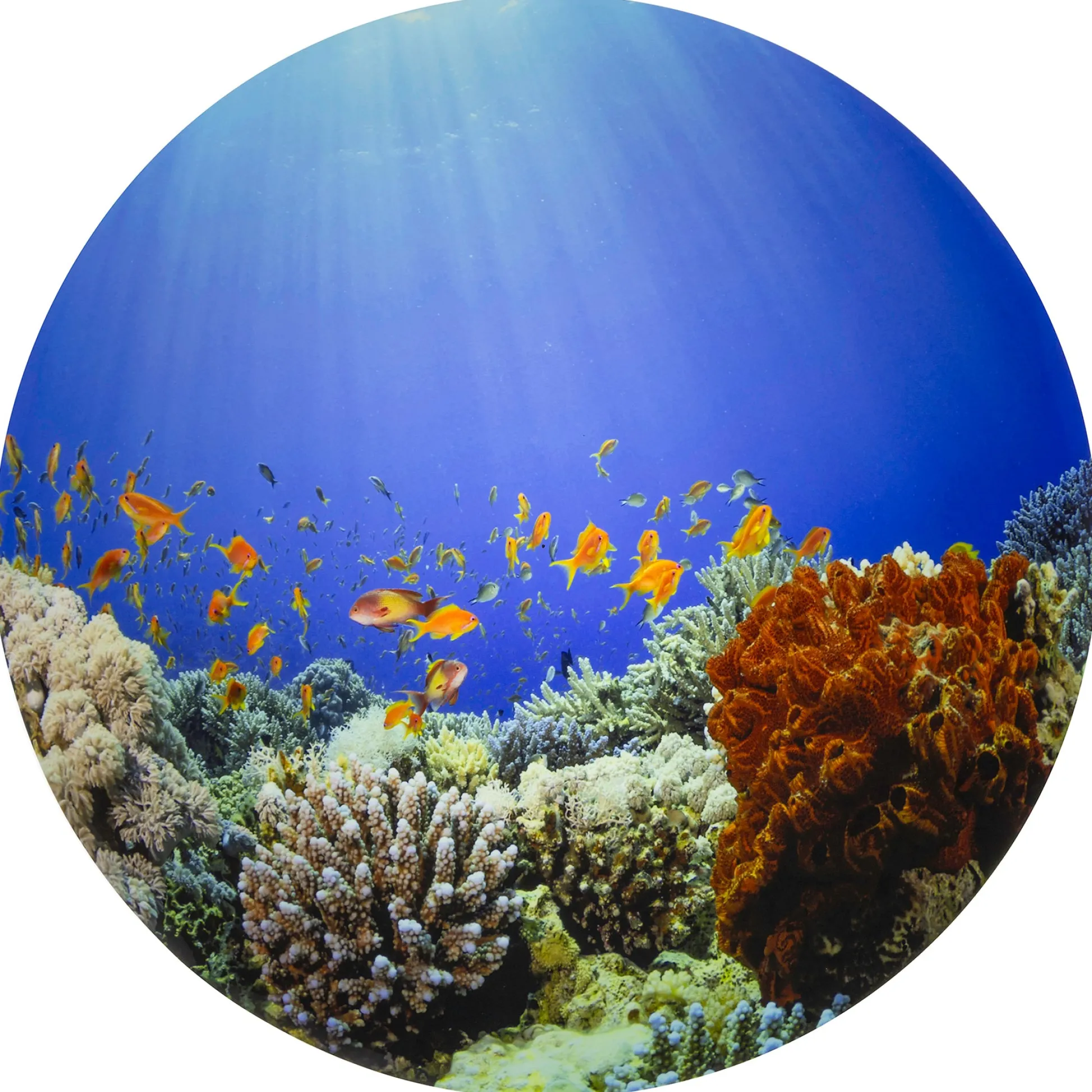 Educators Resource TickiT Under the Sea Discovery Play Mat - Ocean Exploration* Preschool Education Toys & Activities