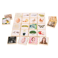 Educators Resource TickiT Wooden Lifecycle Exploration Tiles - Interactive Learning Set* Preschool Education Toys & Activities
