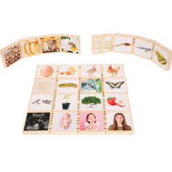 Educators Resource TickiT Wooden Lifecycle Exploration Tiles - Interactive Learning Set* Preschool Education Toys & Activities