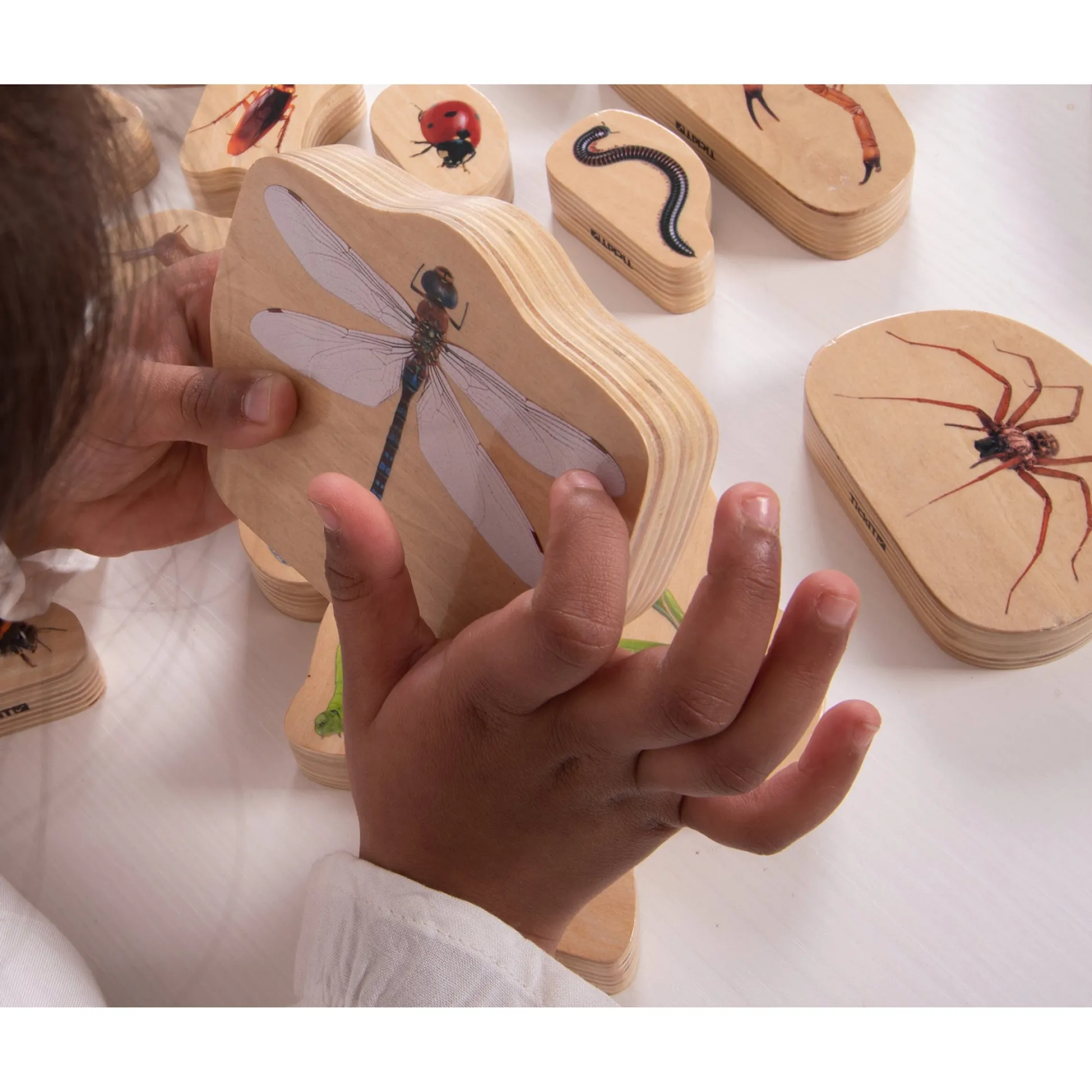 Educators Resource TickiT Wooden Minibeast Blocks – 15 Piece Learning Set* Preschool Building Sets & Blocks|Preschool Education Toys & Activities