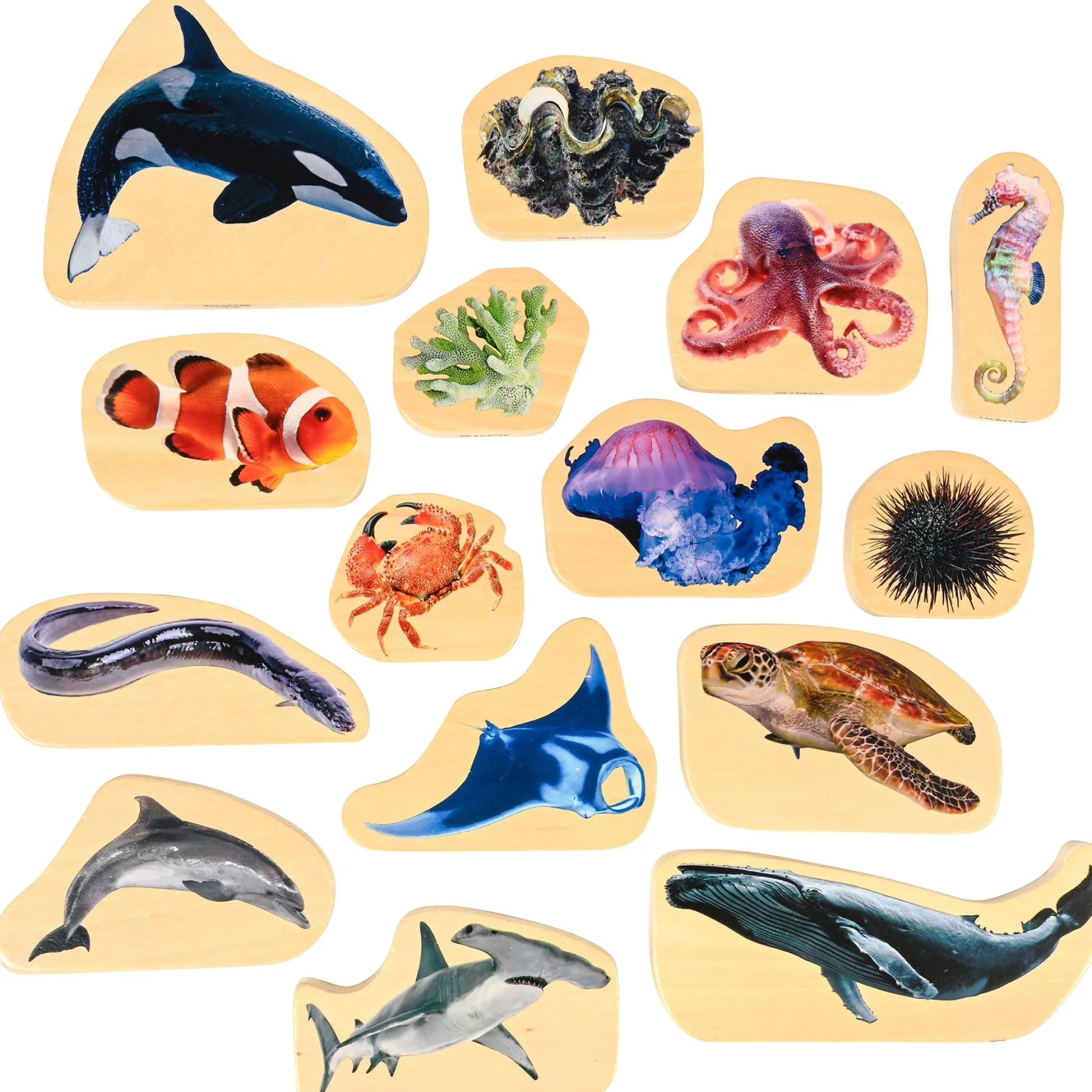 Educators Resource TickiT Wooden Sea Life Blocks - Colorful Marine Exploration Set of 15* Preschool Building Sets & Blocks|Preschool Education Toys & Activities