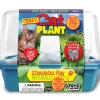 AreYouGame Toys By Nature Miniature World Crazy Cat Plant Growing Kit* Crafts & Activities