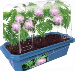 The Distribution Solutions Toys R Us Astounding Moving Plant Interactive Botany Kit* Science & Discovery
