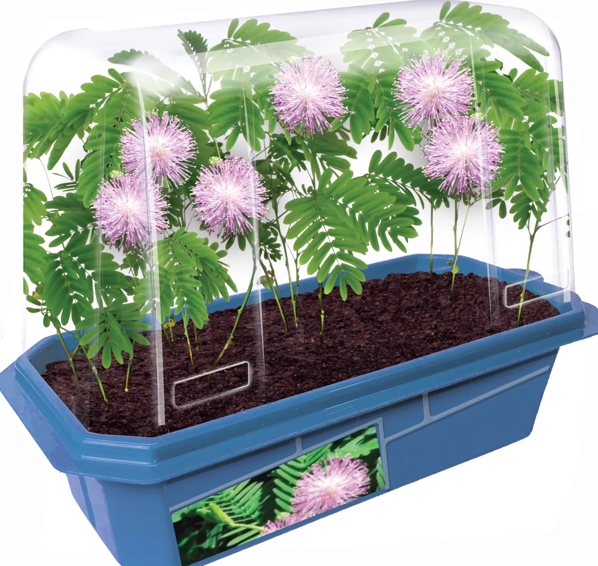 The Distribution Solutions Toys R Us Astounding Moving Plant Interactive Botany Kit* Science & Discovery