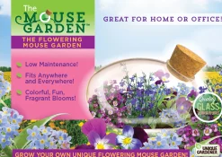 The Distribution Solutions Toys R Us Blossoming Mouse Miniature Terrarium Kit* Crafts & Activities