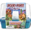 The Distribution Solutions Toys R Us Desert Plant Collection Science Kit ‚Äì Lush Oasis* Science & Discovery