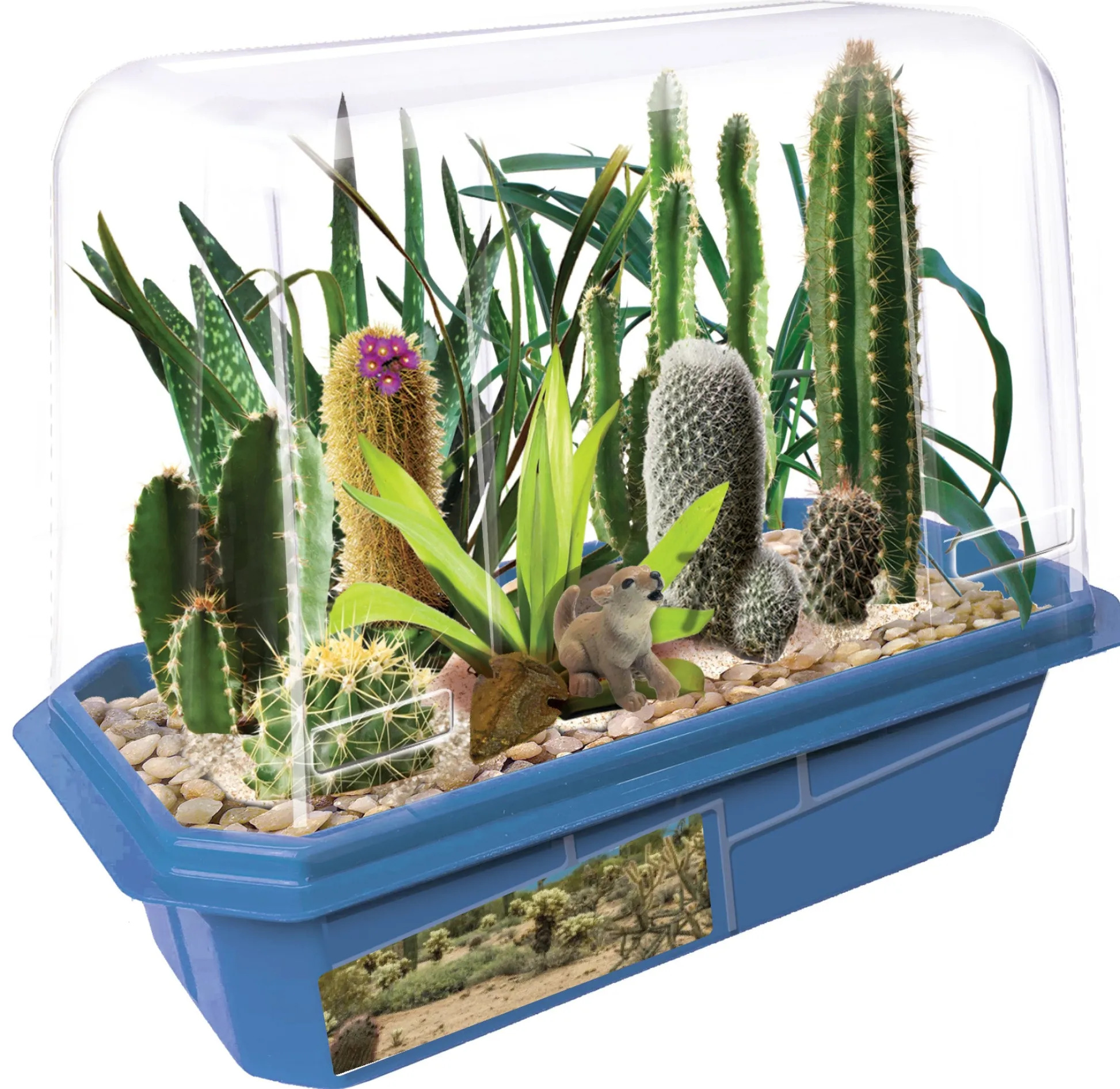 The Distribution Solutions Toys R Us Desert Plant Collection Science Kit – Lush Oasis* Science & Discovery
