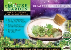 The Distribution Solutions Toys R Us The Succulent Star Mouse Miniature Garden Kit* Crafts & Activities