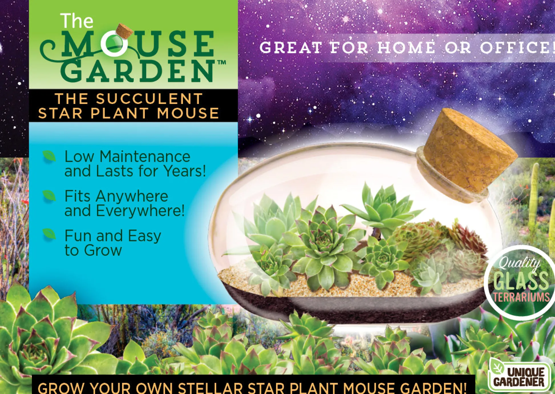 The Distribution Solutions Toys R Us The Succulent Star Mouse Miniature Garden Kit* Crafts & Activities