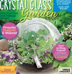 The Distribution Solutions Toys'R'Us Crystal Glass Garden Quartz Crystal Terrarium Kit* Crafts & Activities