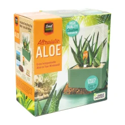 AreYouGame Unique Gardener Altruistic Aloe Seed Square Terrarium Kit* Science & Discovery