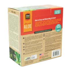 AreYouGame Unique Gardener Altruistic Aloe Seed Square Terrarium Kit* Science & Discovery
