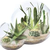 AreYouGame Unique Gardener Double Sphere Glass Terrarium - Desert Escape Kit* Crafts & Activities