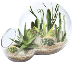 AreYouGame Unique Gardener Double Sphere Glass Terrarium - Desert Escape Kit* Crafts & Activities