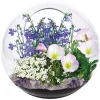 AreYouGame Unique Gardener Mini Fairy Triad Glass Terrarium Kit* Crafts & Activities
