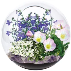 AreYouGame Unique Gardener Mini Fairy Triad Glass Terrarium Kit* Crafts & Activities