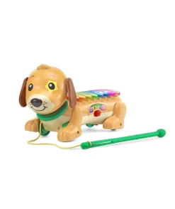 Macy's - Supplier VTech Zoo Jamz Colorful Doggy Xylophone Musical Toy* Preschool Education Toys & Activities