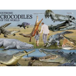 Educators Resource Wild Environmental Science Extreme Crocodiles Kit - Craft & Learn About Crocodiles* Crafts & Activities