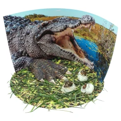 Educators Resource Wild Environmental Science Extreme Crocodiles Kit - Craft & Learn About Crocodiles* Crafts & Activities